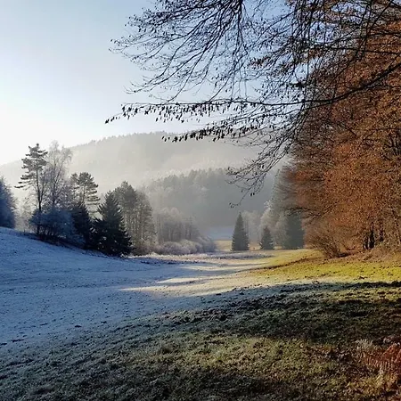 Urlaubsraum Апартаменты