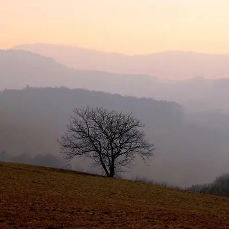 Urlaubsraum Апартаменты Heiligkreuzsteinach