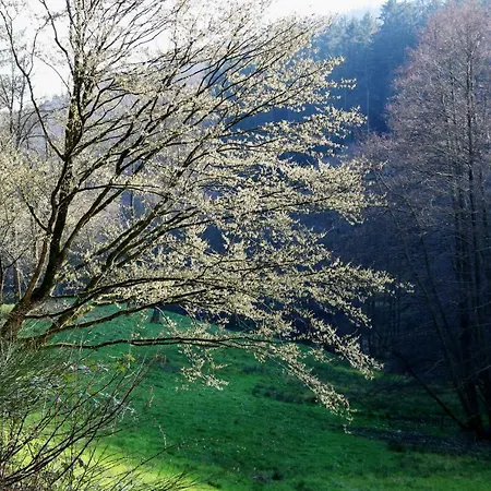 Urlaubsraum Апартаменты *